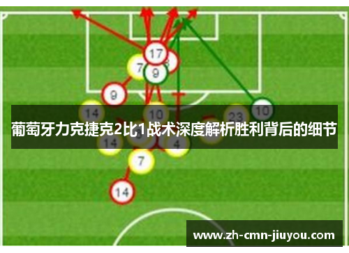 葡萄牙力克捷克2比1战术深度解析胜利背后的细节