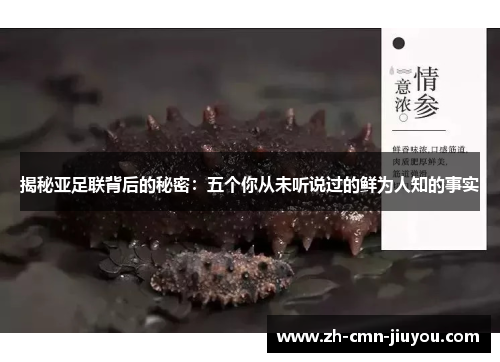 揭秘亚足联背后的秘密:五个你从未听说过的鲜为人知的事实 揭秘亚足联背后的秘密:五个你从未听说过的鲜为人知的事实