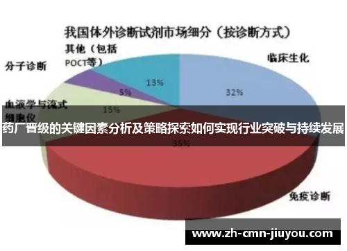 药厂晋级的关键因素分析及策略探索如何实现行业突破与持续发展