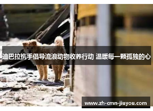 迪巴拉携手倡导流浪动物收养行动 温暖每一颗孤独的心
